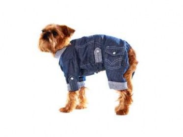 ДЖИНСОВЫЕ КОСТЮМЫ